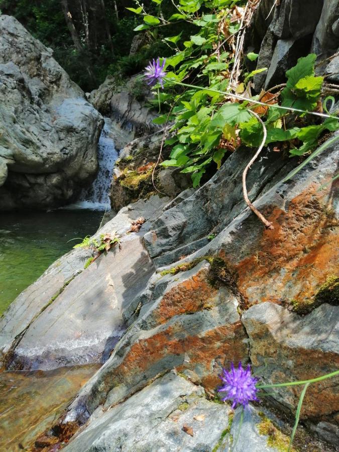 Beatamente B&B Olistico Torrazzo Kültér fotó